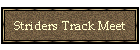 Striders Track Meet